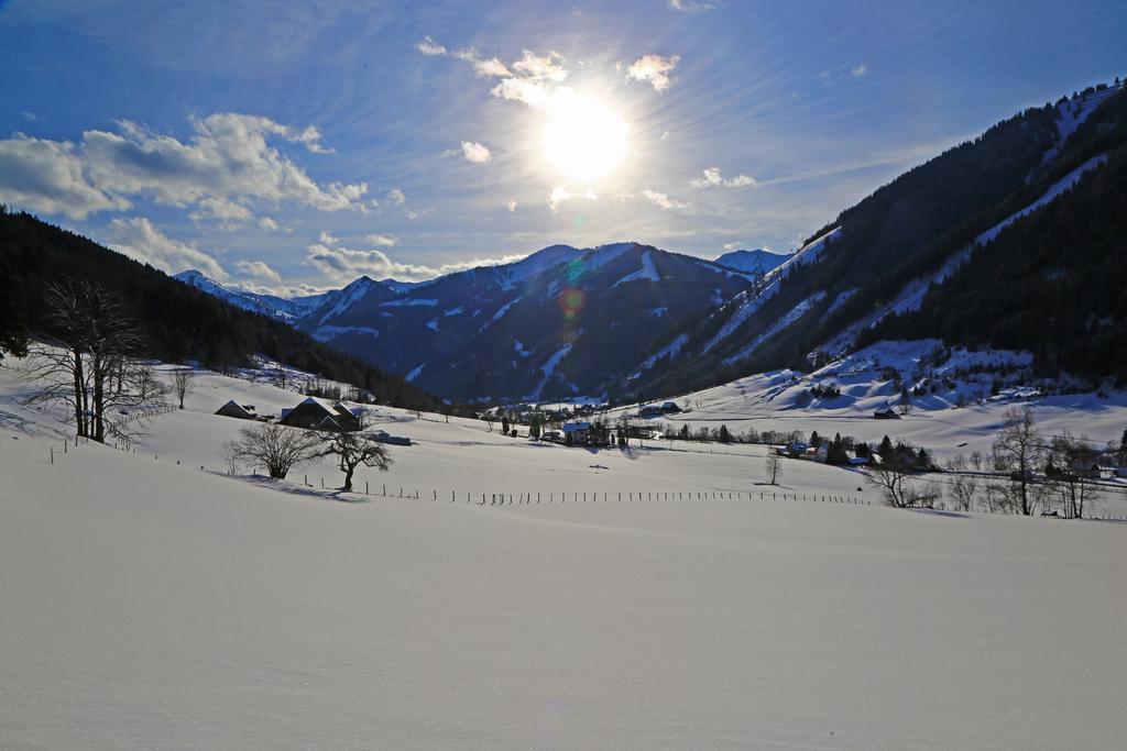 Der Perweinhof Appartement Donnersbachwald Buitenkant foto